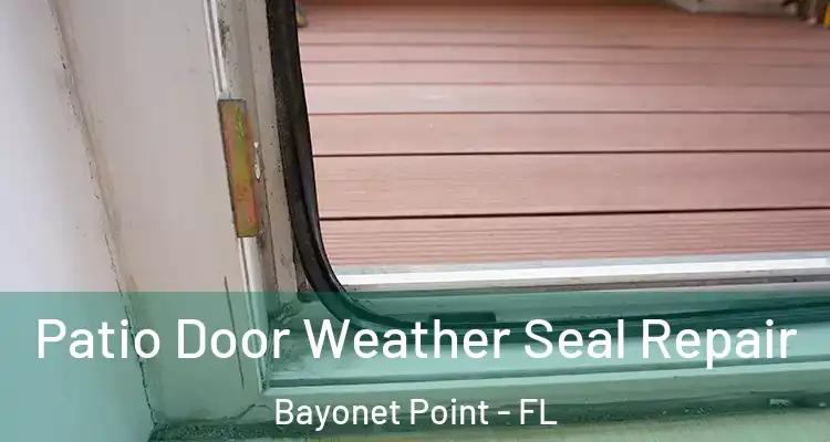 Patio Door Weather Seal Repair Bayonet Point - FL