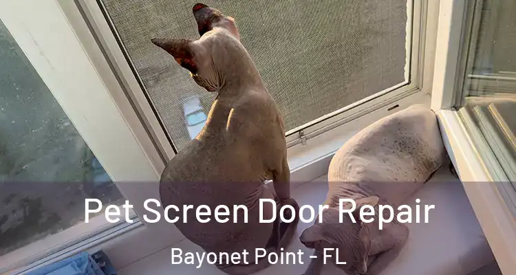 Pet Screen Door Repair Bayonet Point - FL