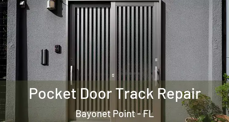 Pocket Door Track Repair Bayonet Point - FL