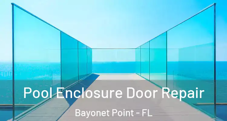 Pool Enclosure Door Repair Bayonet Point - FL