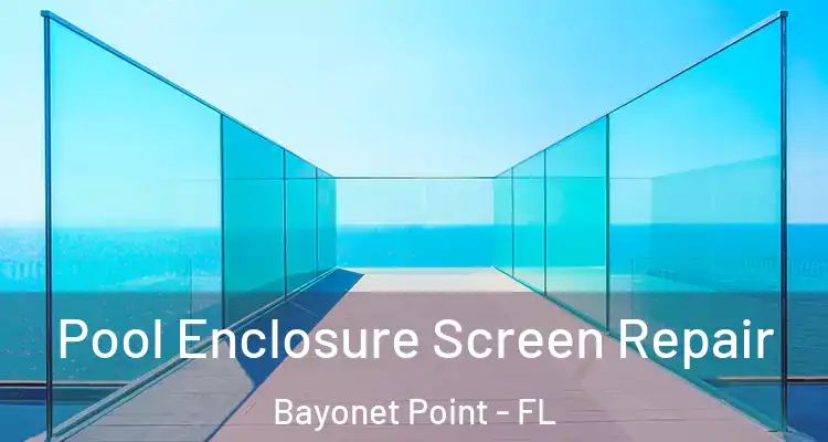 Pool Enclosure Screen Repair Bayonet Point - FL