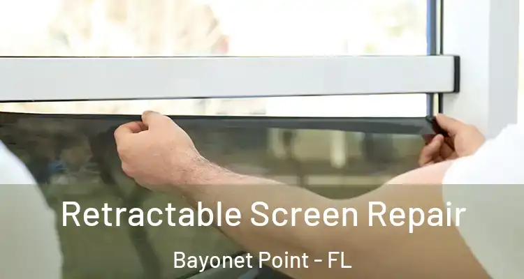 Retractable Screen Repair Bayonet Point - FL