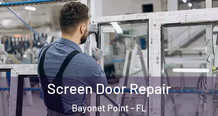 Screen Door Repair Bayonet Point - FL