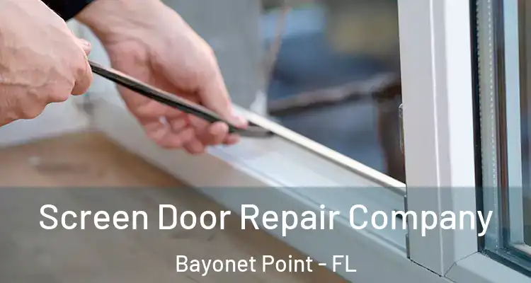 Screen Door Repair Company Bayonet Point - FL