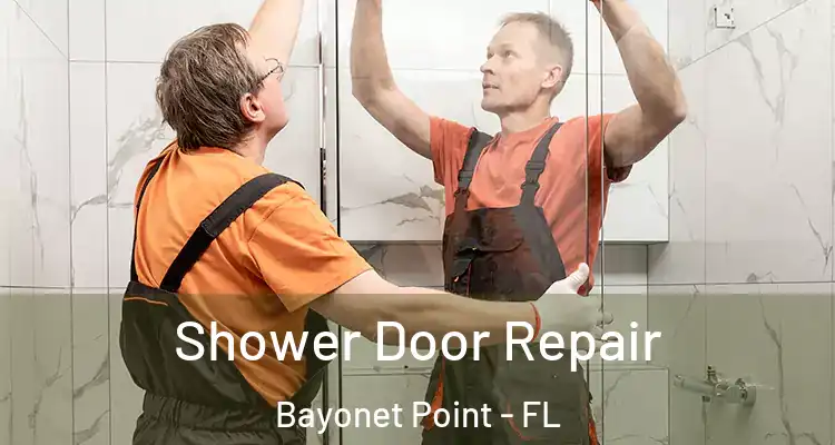 Shower Door Repair Bayonet Point - FL