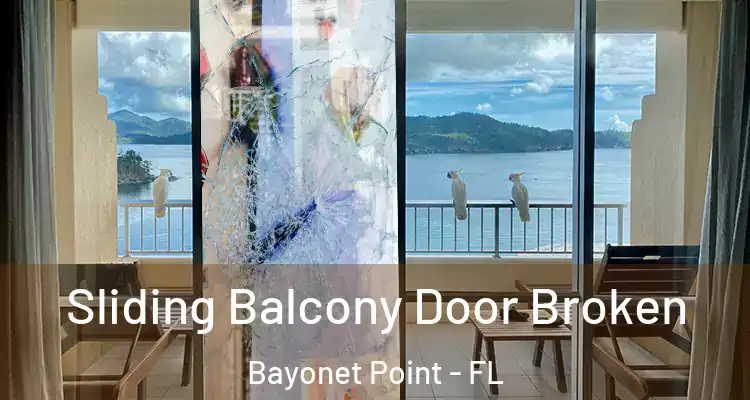 Sliding Balcony Door Broken Bayonet Point - FL