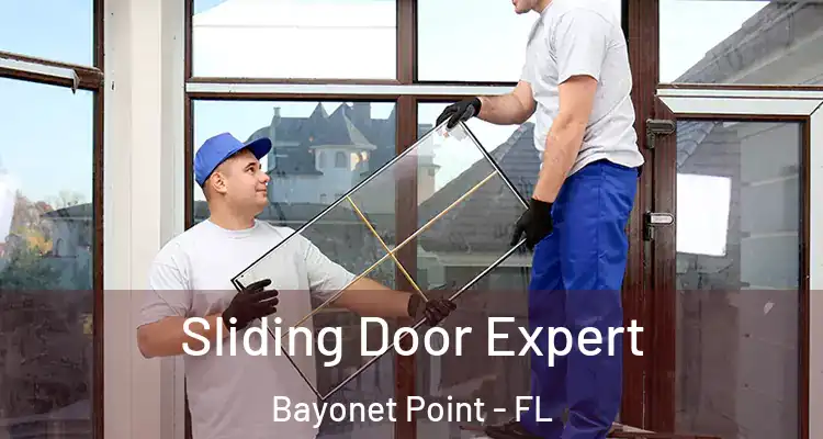 Sliding Door Expert Bayonet Point - FL