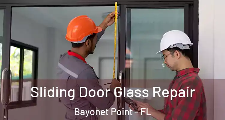 Sliding Door Glass Repair Bayonet Point - FL