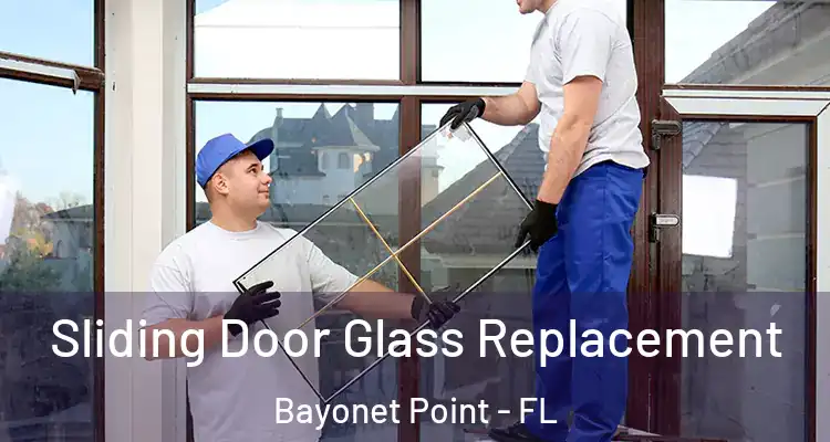 Sliding Door Glass Replacement Bayonet Point - FL