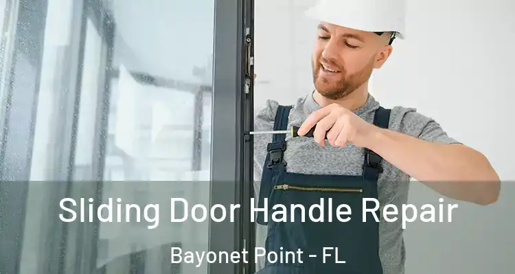 Sliding Door Handle Repair Bayonet Point - FL