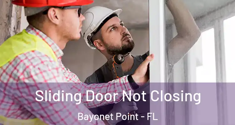 Sliding Door Not Closing Bayonet Point - FL