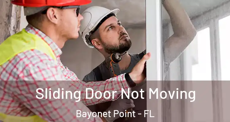 Sliding Door Not Moving Bayonet Point - FL