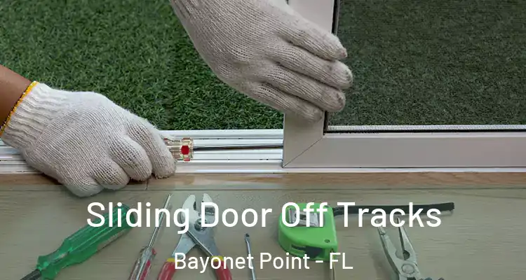 Sliding Door Off Tracks Bayonet Point - FL