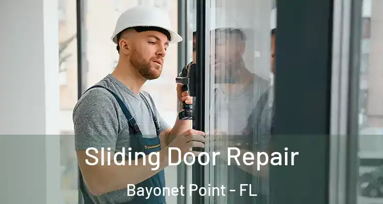 Sliding Door Repair Bayonet Point - FL
