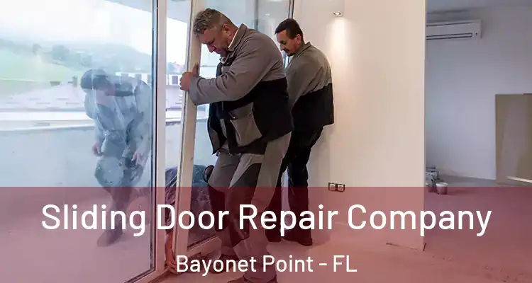 Sliding Door Repair Company Bayonet Point - FL