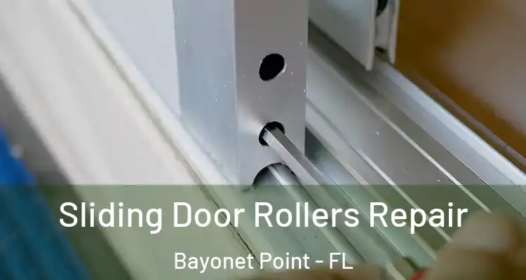 Sliding Door Rollers Repair Bayonet Point - FL