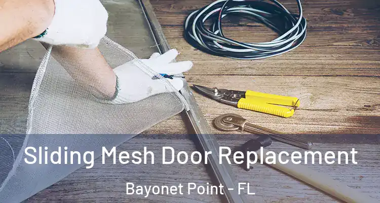 Sliding Mesh Door Replacement Bayonet Point - FL