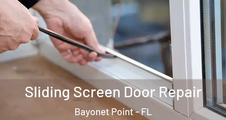 Sliding Screen Door Repair Bayonet Point - FL