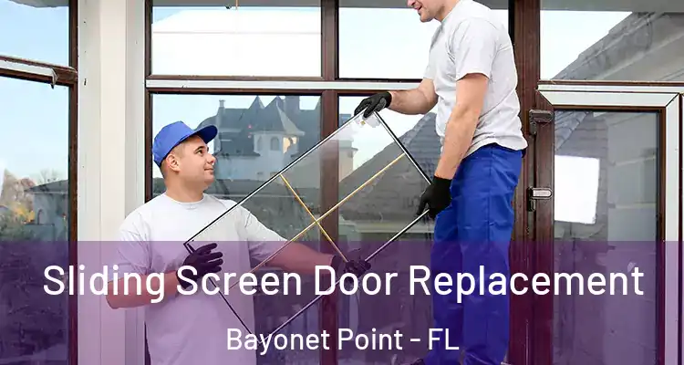 Sliding Screen Door Replacement Bayonet Point - FL