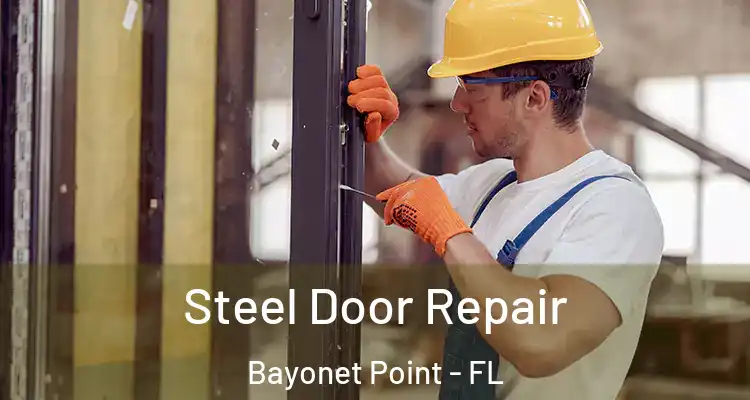 Steel Door Repair Bayonet Point - FL