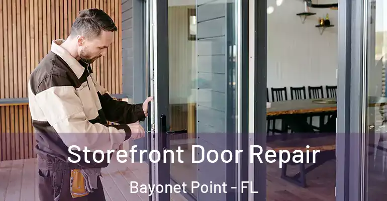 Storefront Door Repair Bayonet Point - FL