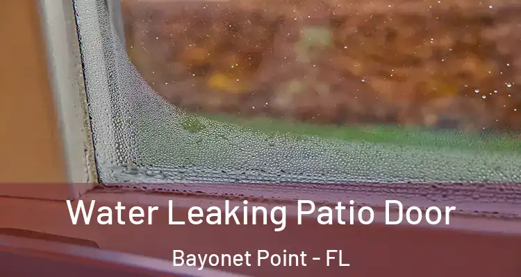 Water Leaking Patio Door Bayonet Point - FL