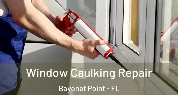 Window Caulking Repair Bayonet Point - FL