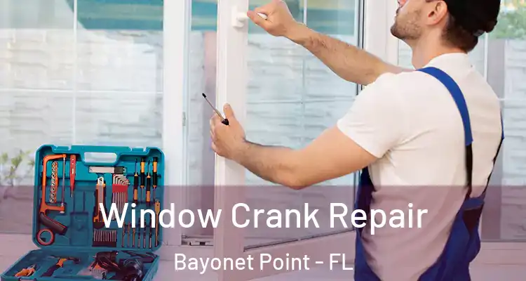 Window Crank Repair Bayonet Point - FL