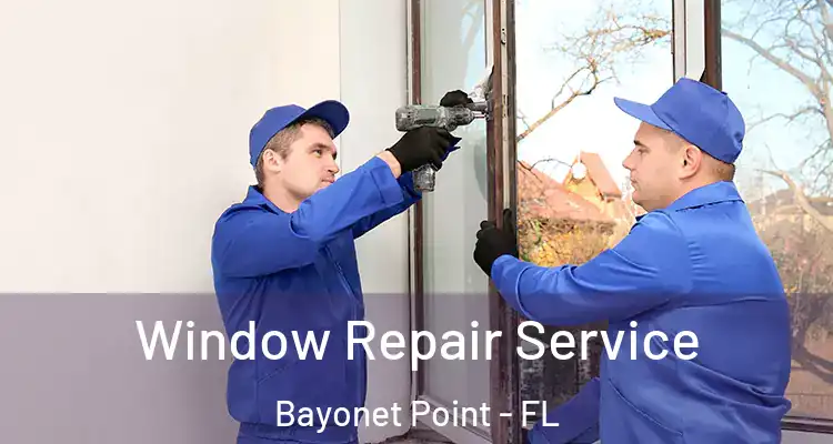 Window Repair Service Bayonet Point - FL