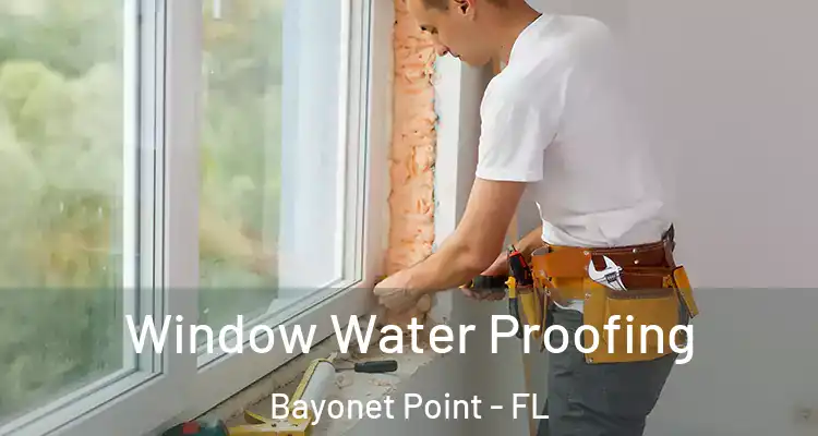 Window Water Proofing Bayonet Point - FL