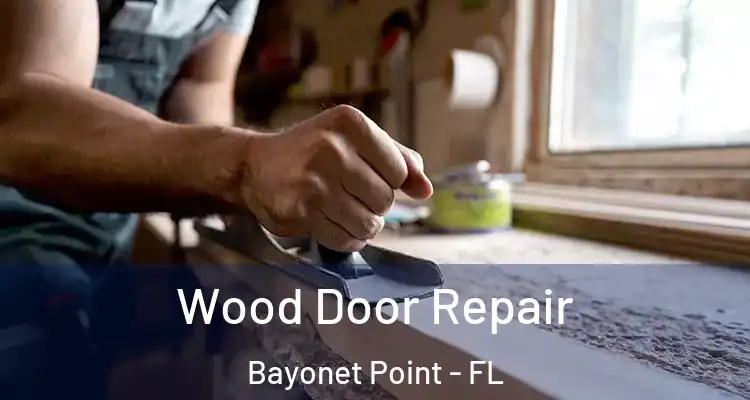 Wood Door Repair Bayonet Point - FL